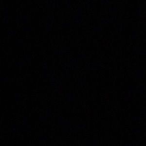 Meet your Posher, Maggie